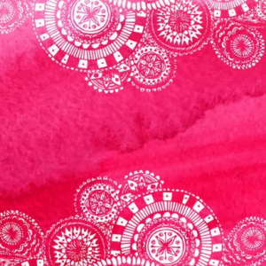 Speed & Agility Ladder Drills