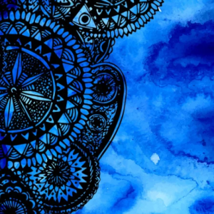 Extreme Fat Burn Bootcamp